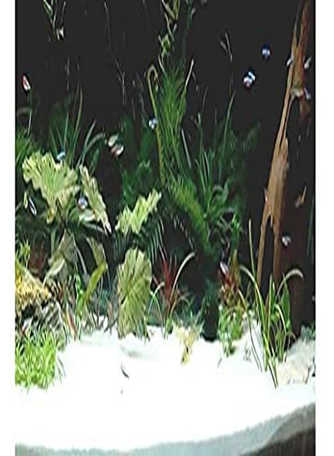 Ercole® Fine Natural Aquarium Sand for Vase Filler Lawn Garden Freshwater & Aquarium Decoration (2Kg, White) - Image 4